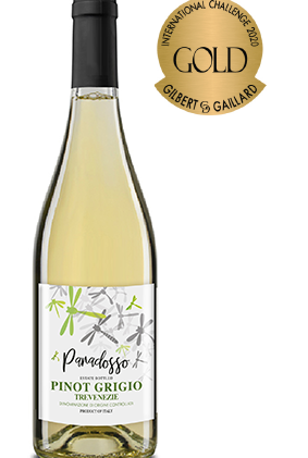 Paradosso Pinot Grigio DOC