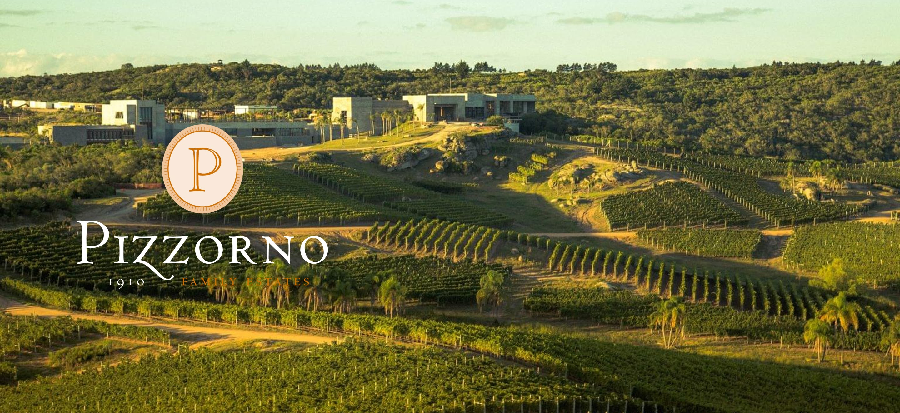 ワイン CUESTA DE LAS LIEBRES 2019 Cuesta de las Liebres 2019 - Bodega Pago de Carraovejas