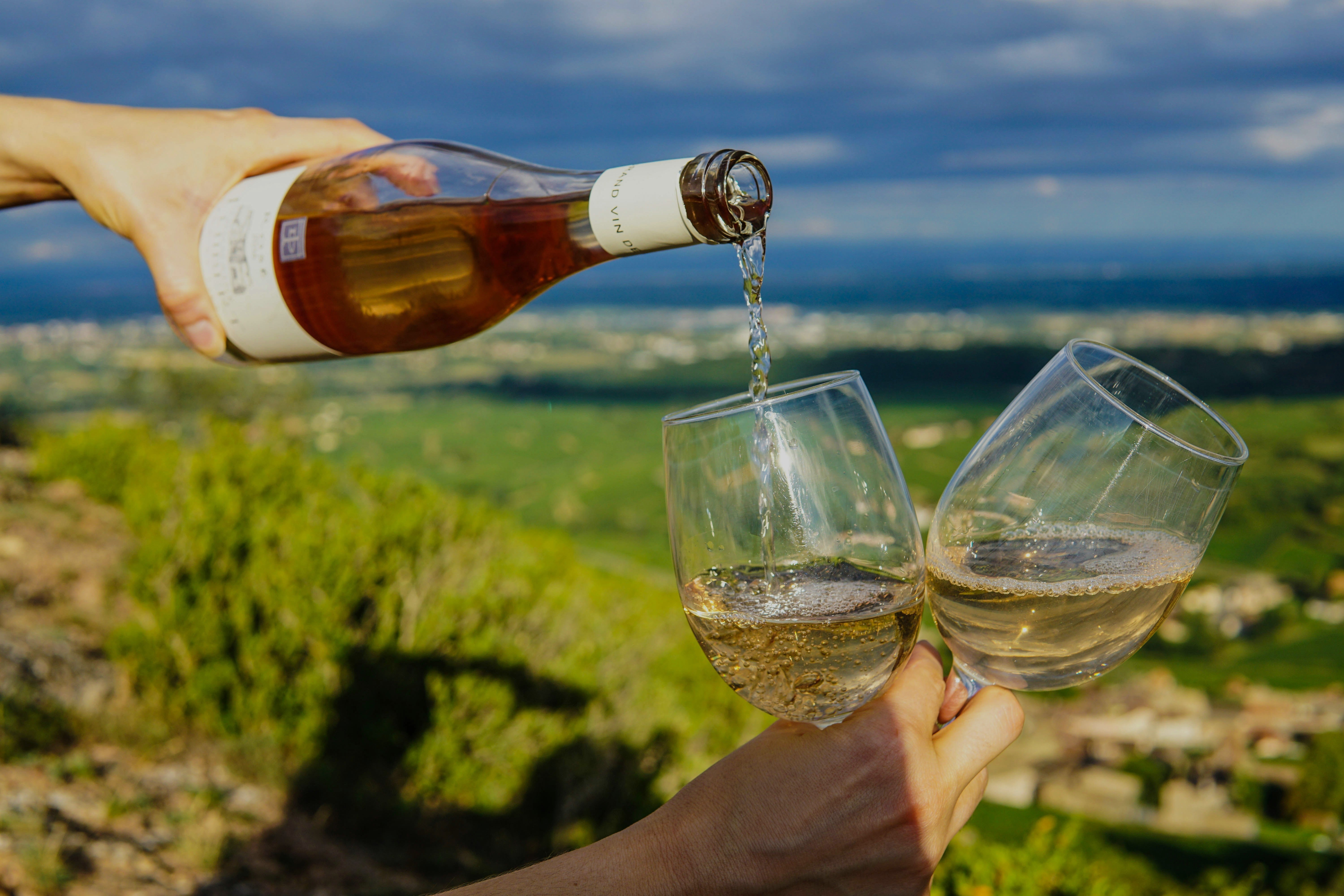ワイン CUESTA DE LAS LIEBRES 2019 Cuesta de las Liebres 2019 - Bodega Pago de Carraovejas